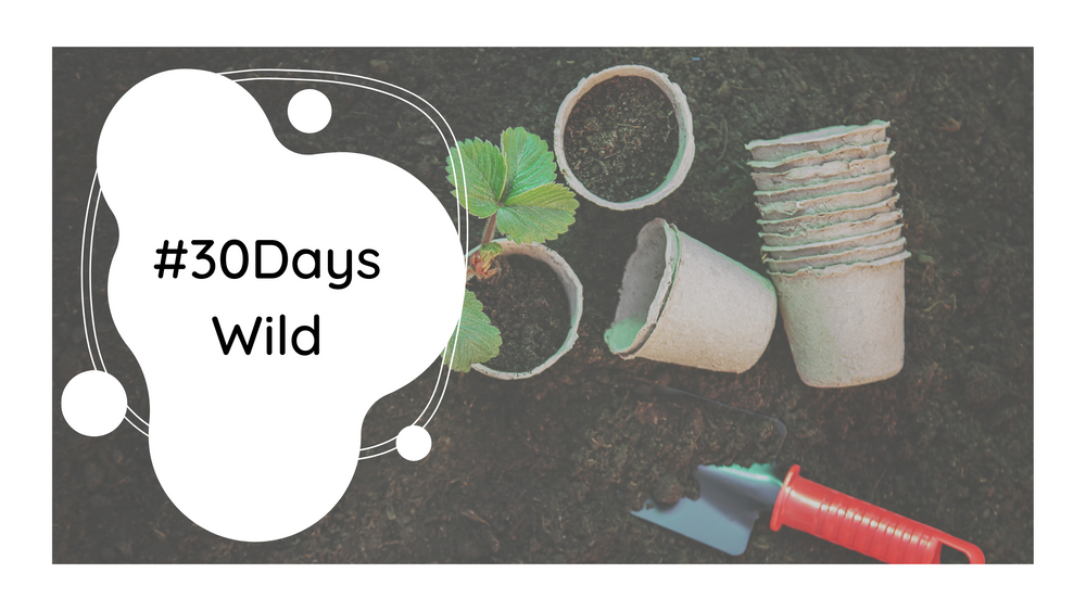 #30DaysWild