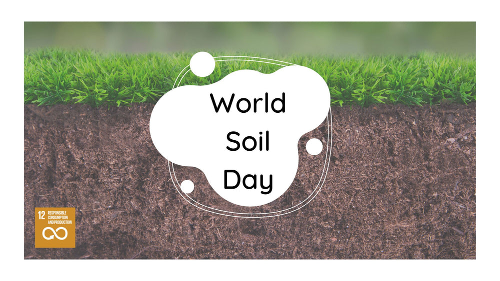 World Soil Day - The Truth About Urns