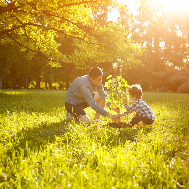 Creating a living memorial for a loved one