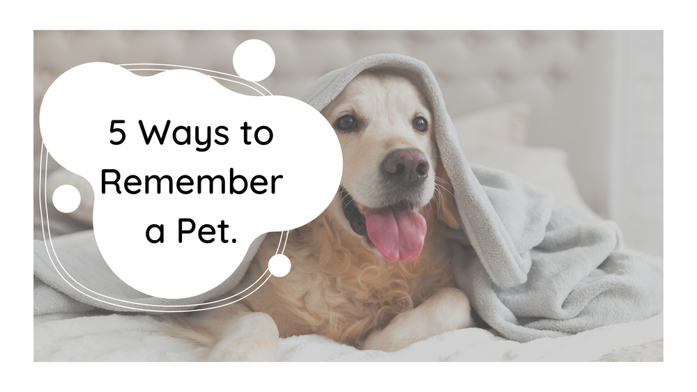 5 Ways to Remember a Pet