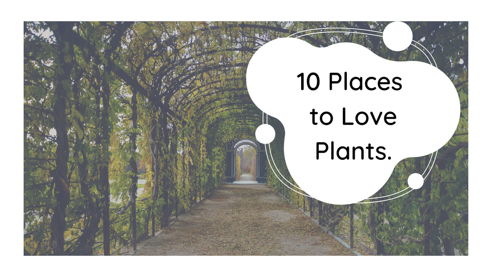 10 Places to Love Plants