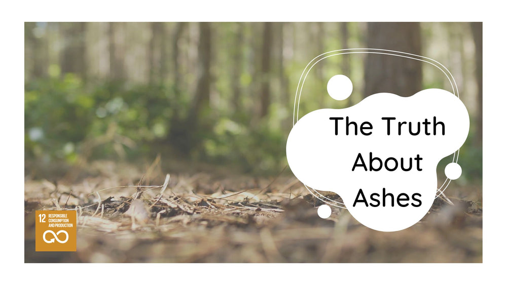 The Truth About Ashes